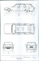 Peugeot 505 - Vintage Photograph