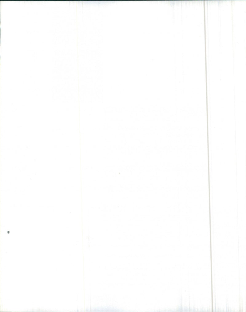 AMC Gremlin - Vintage Photograph