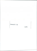 Renault 25 - Vintage Photograph