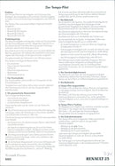 Renault 25 - Vintage Photograph