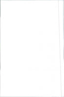 Volvo 850 GLT - Vintage Photograph