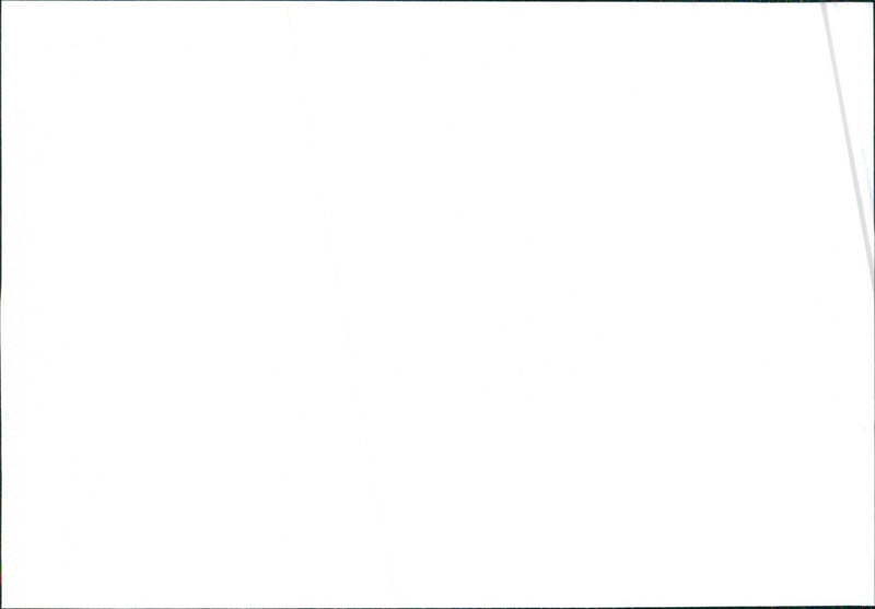 1991 Seat Toledo - Vintage Photograph