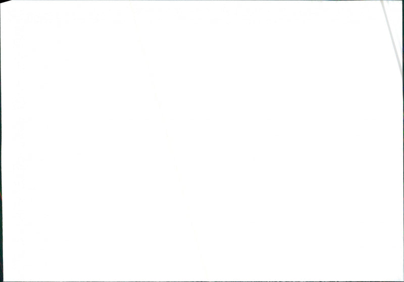 1991 Seat Toledo - Vintage Photograph