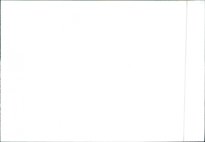 Seat Toledo - Vintage Photograph