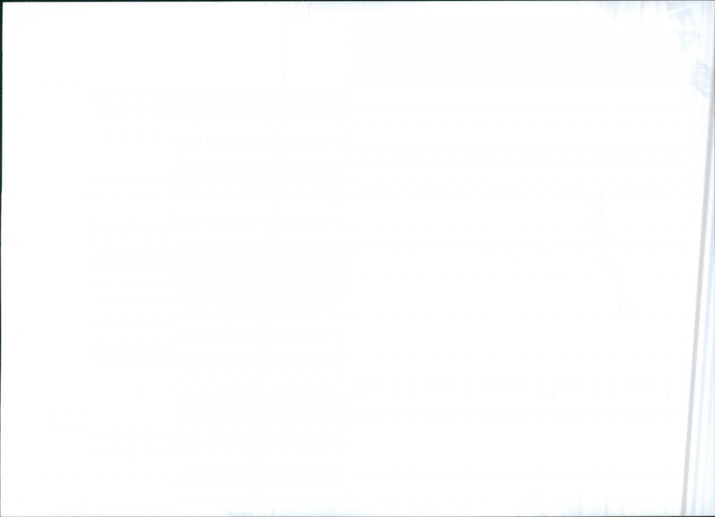 1996 Skoda Octavia - Vintage Photograph