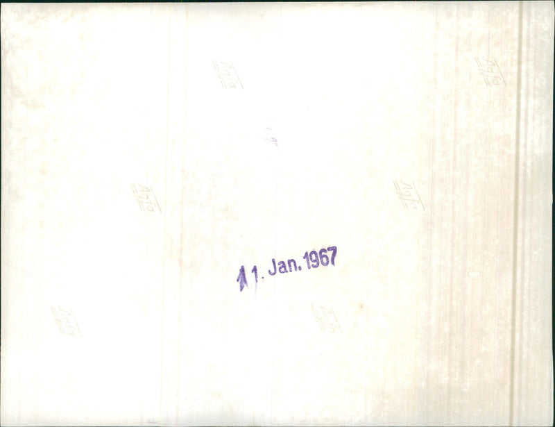 Daimler Benz - Vintage Photograph