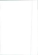 Honda CRV 1997 - Vintage Photograph