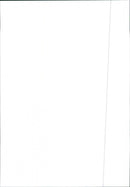 Honda CRV 1997 - Vintage Photograph