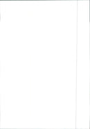 Honda CRV 1997 - Vintage Photograph