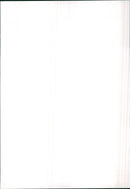 1981 Mitsubishi Lancer - Vintage Photograph