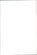 1981 Mitsubishi Lancer - Vintage Photograph