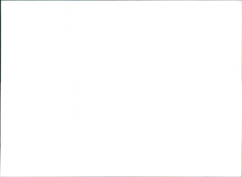 Datsun Sunny - Vintage Photograph