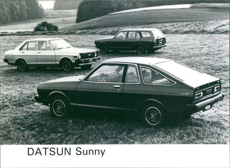 Datsun Sunny - Vintage Photograph