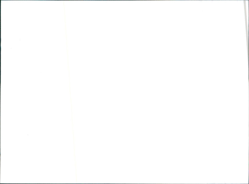 Datsun Cherry Coupe GL - Vintage Photograph