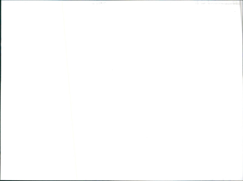 Datsun Cherry GL - Vintage Photograph