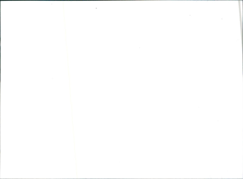 Datsun Cherry GL - Vintage Photograph