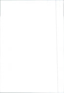 Peugeot 407 Coupe - Vintage Photograph