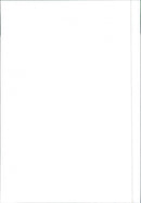 Peugeot 306 S16 - Vintage Photograph