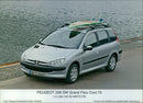 PEUGEOT 206 SW - Vintage Photograph