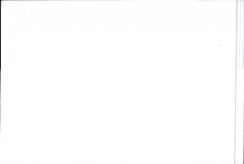 SEAT Ibiza - Vintage Photograph