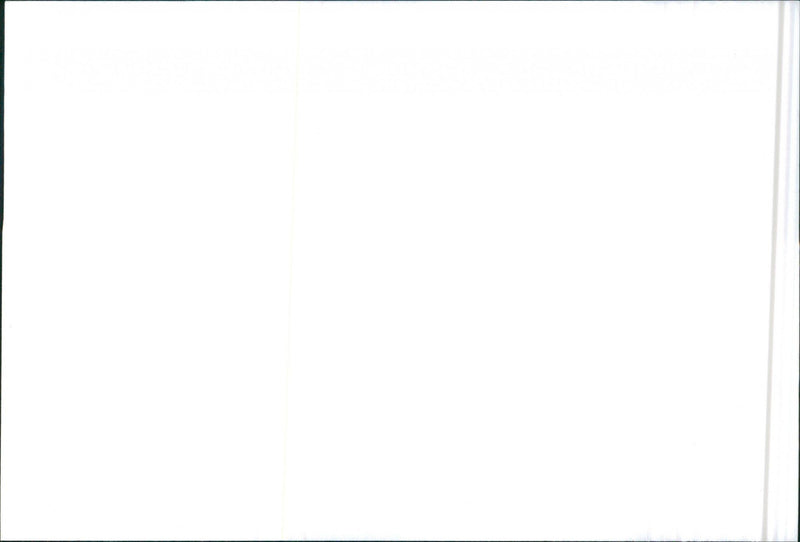 SEAT Ibiza - Vintage Photograph