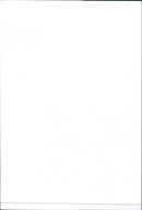 SEAT Ibiza - Vintage Photograph