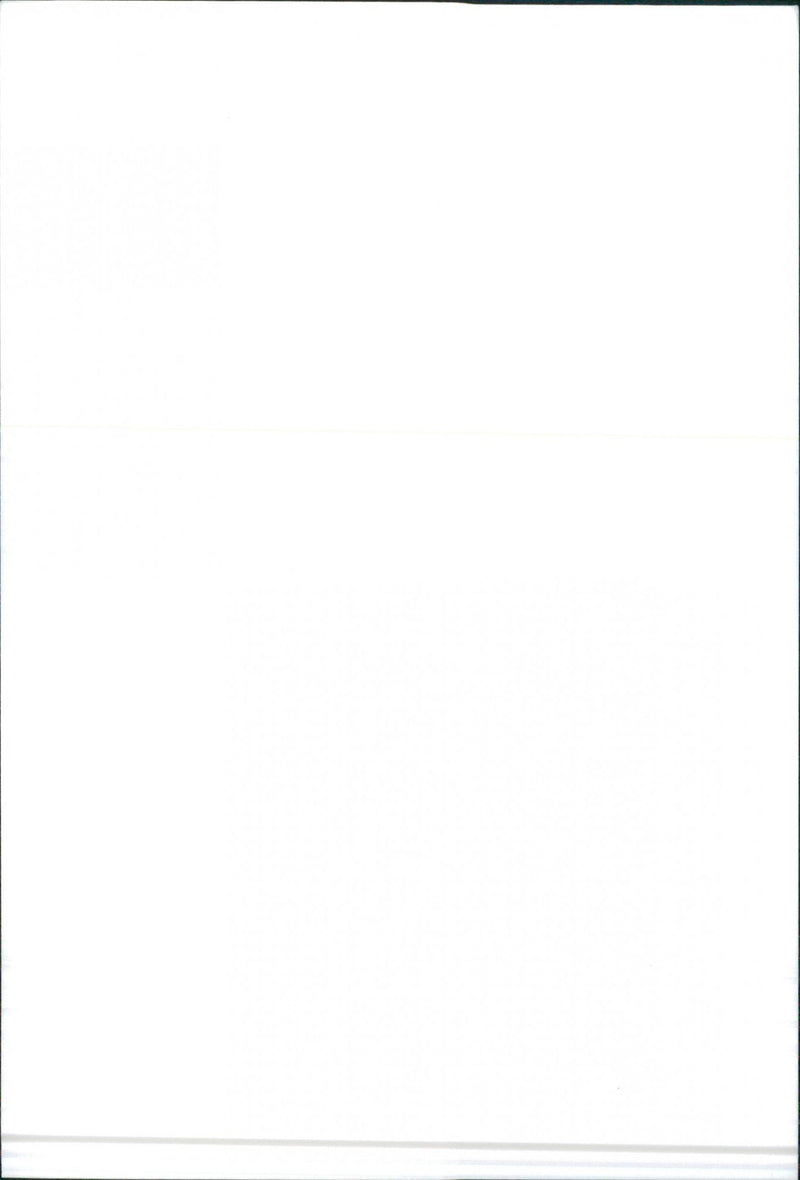 SEAT Ibiza - Vintage Photograph