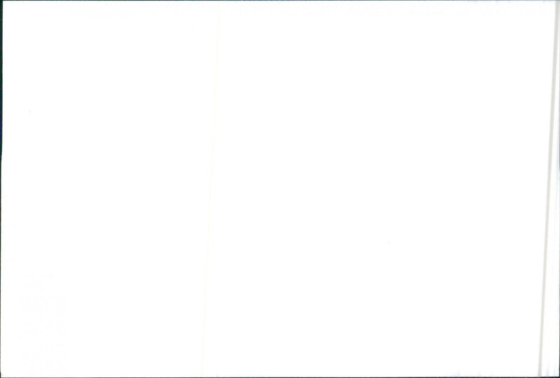 SEAT Ibiza - Vintage Photograph