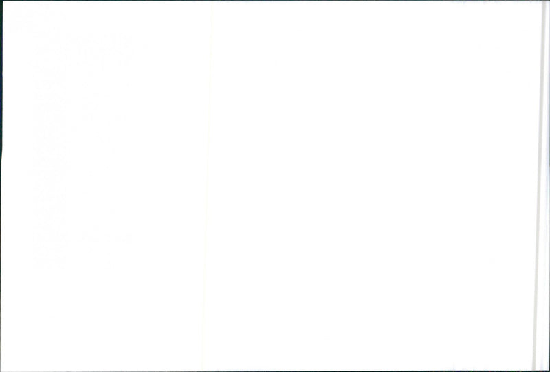 SEAT Ibiza - Vintage Photograph