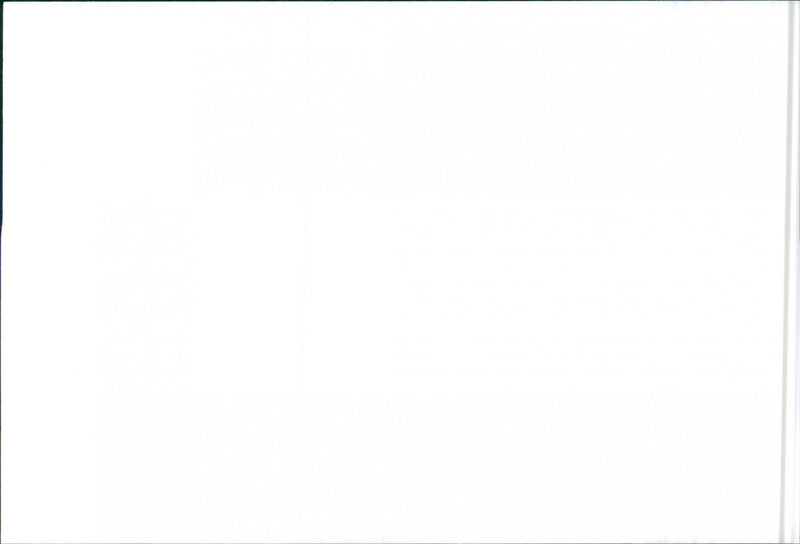 SEAT Ibiza - Vintage Photograph