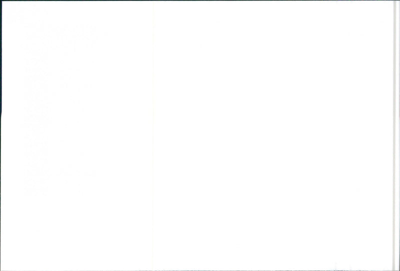 SEAT Ibiza - Vintage Photograph