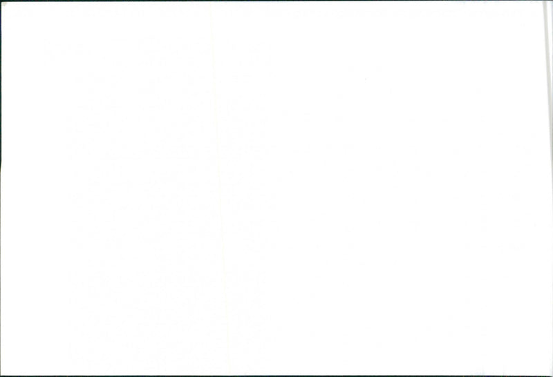 SEAT Ibiza - Vintage Photograph