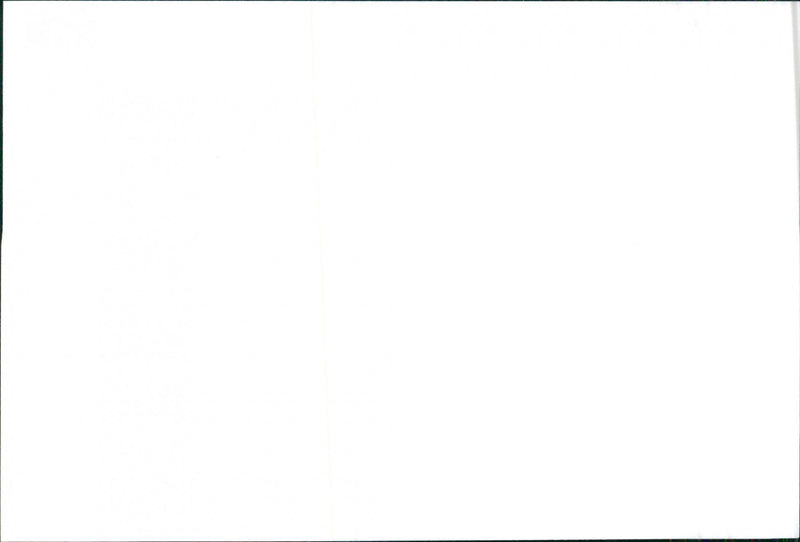 SEAT Ibiza - Vintage Photograph