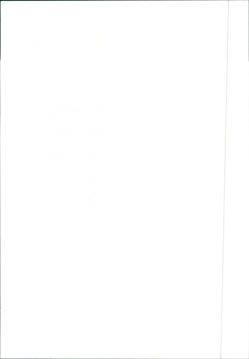 1997 Citroen Xsara - Vintage Photograph