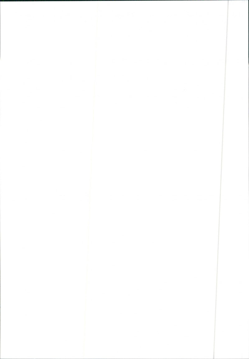 1997 Citroen Xsara - Vintage Photograph