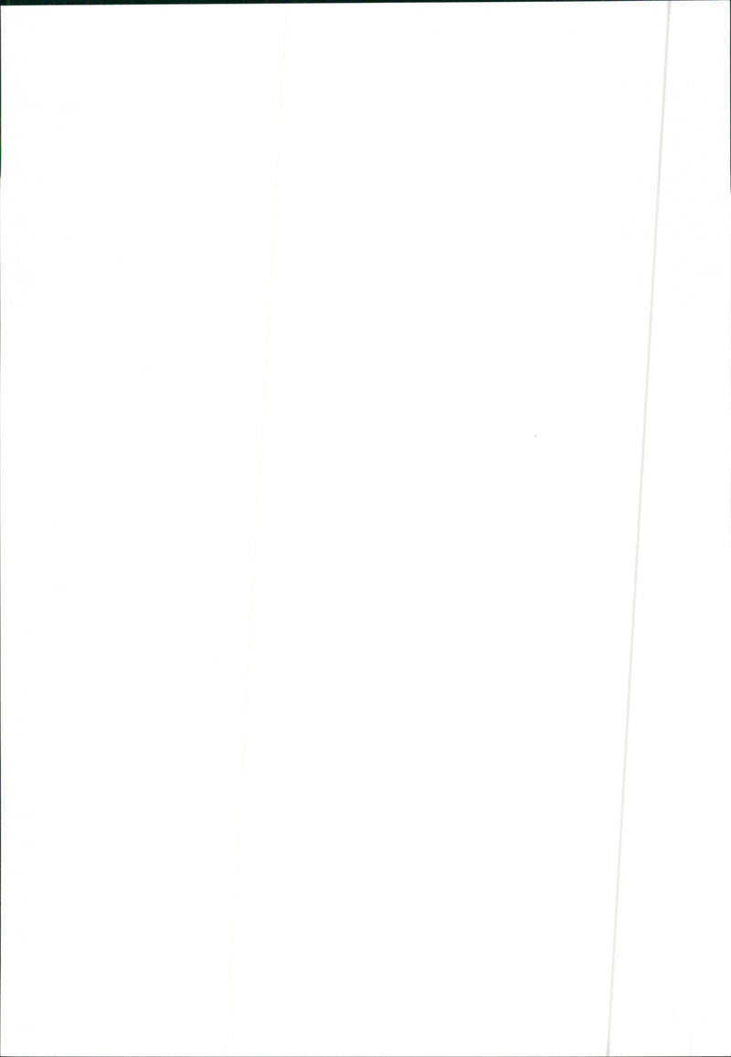 1997 Citroen Xsara - Vintage Photograph