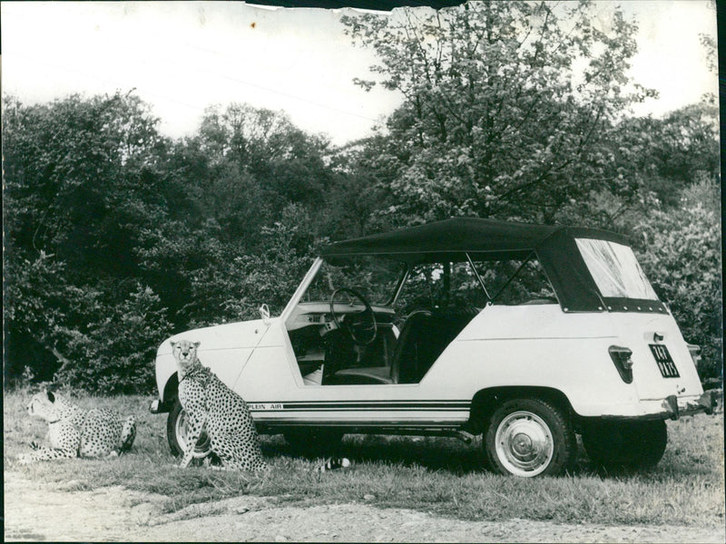 Renault 4 - Vintage Photograph