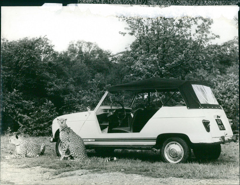 Renault 4 - Vintage Photograph