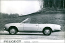 Peugeot 504 - Vintage Photograph