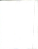 Peugeot 504 - Vintage Photograph