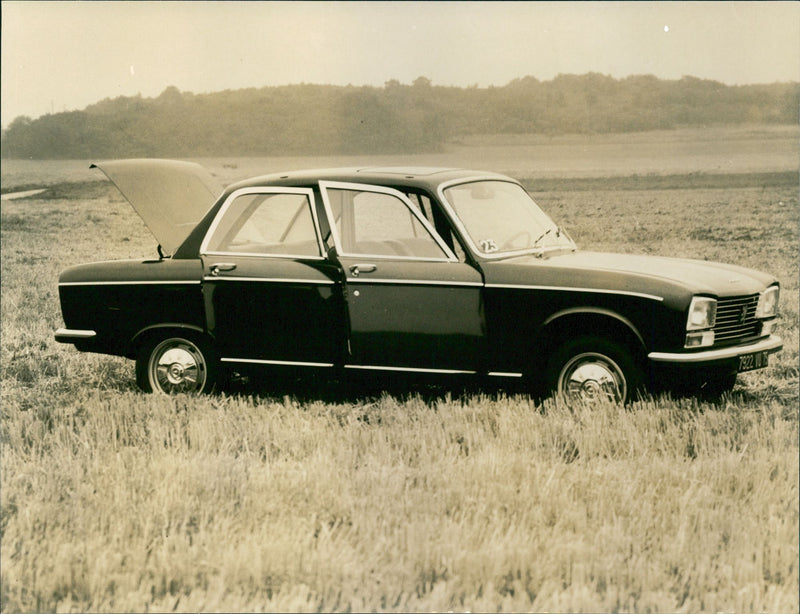 1969 Peugeot 304 - Vintage Photograph
