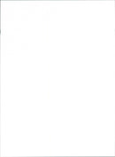 Coggiola cars - Vintage Photograph