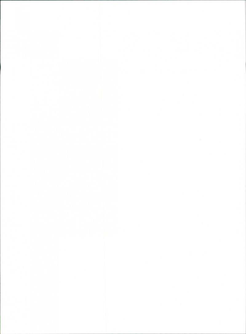 IDEA Institute - Vintage Photograph