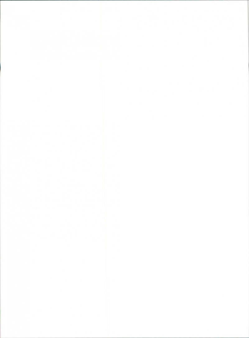 IDEA Institute - Vintage Photograph