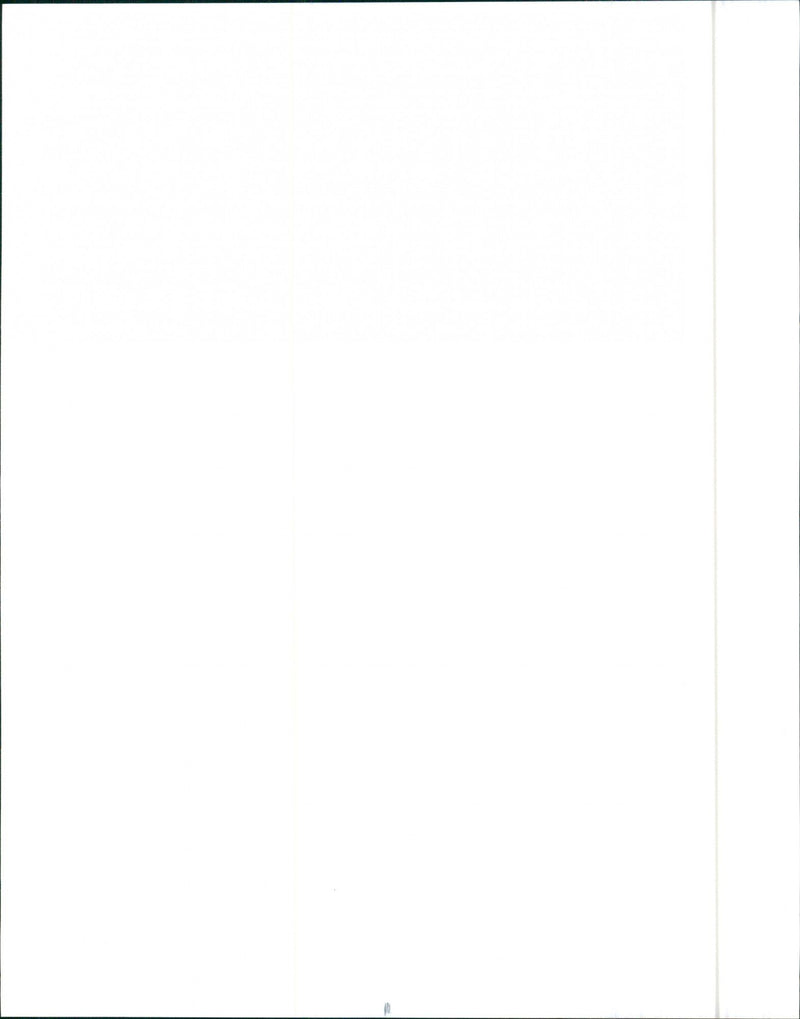 1992 Nissan 4X2 Truck - Vintage Photograph