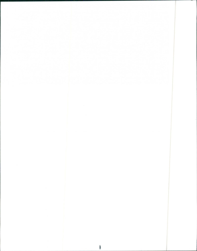 1992 Nissan 240SX LE Fastback and 1992 Nissan 240SX SE Coupe - Vintage Photograph