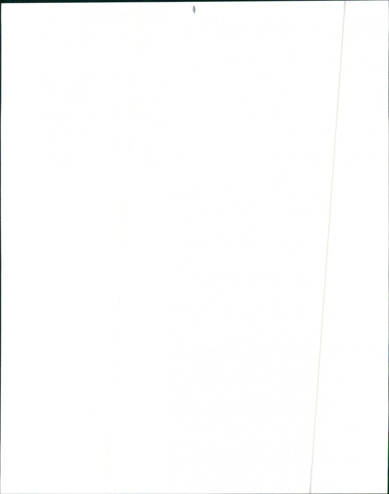 1992 Nissan Maxima SE - Vintage Photograph