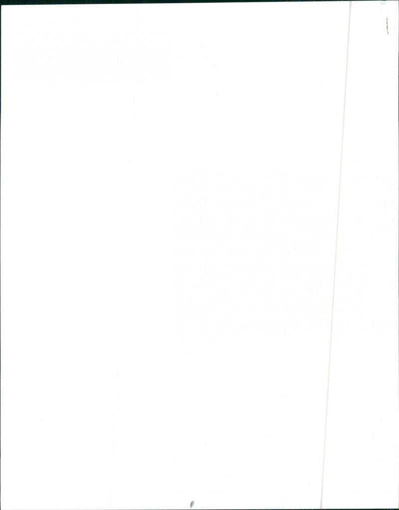 1992 Nissan Sentra GXE - Vintage Photograph