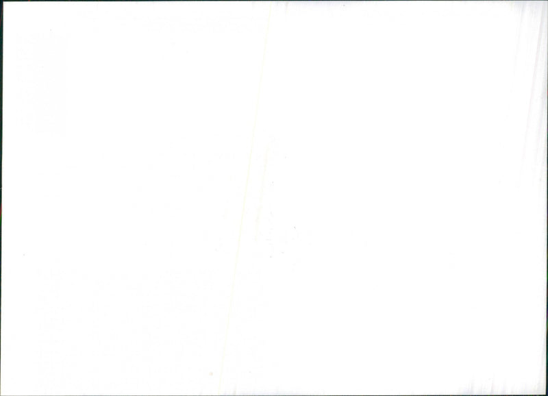 Carat Duchatelet Diamond - Vintage Photograph