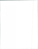 1992 Nissan Maxima SE - Vintage Photograph